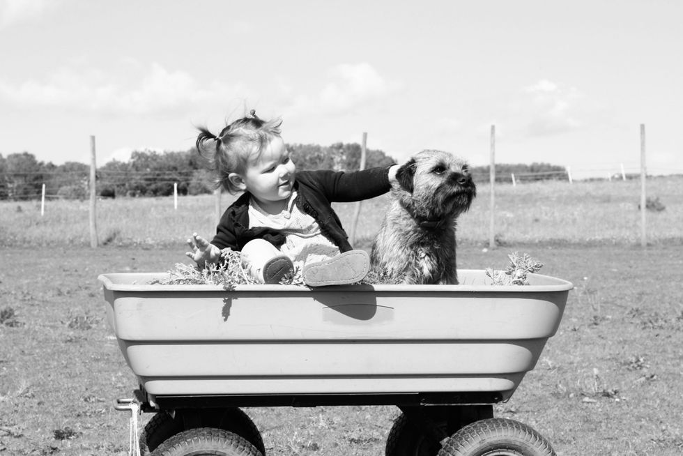 26 Reasons Dogs Are Actually Children