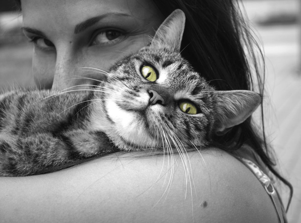 7 Things Only Cat Ladies Understand About Themselves