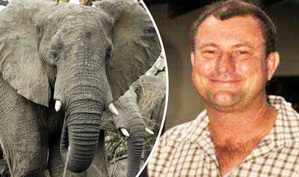 The Astounding Hypocrisy Of Cheering Big Game Hunter Theunis Botha's Death