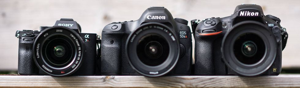 What Exactly Is A Mirrorless Camera?