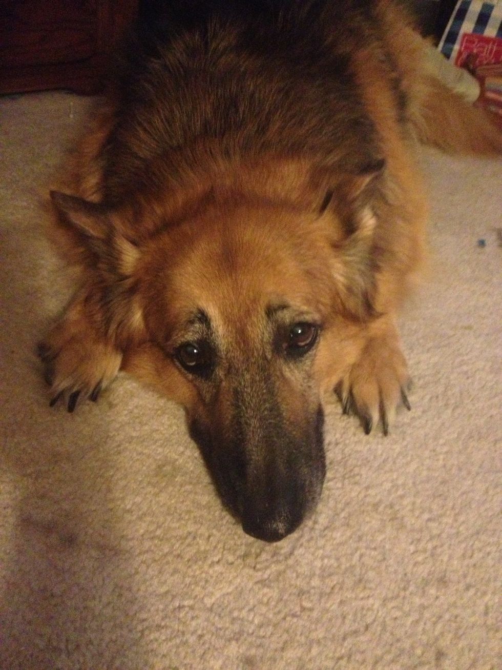 A Farewell To My Childhood Pet