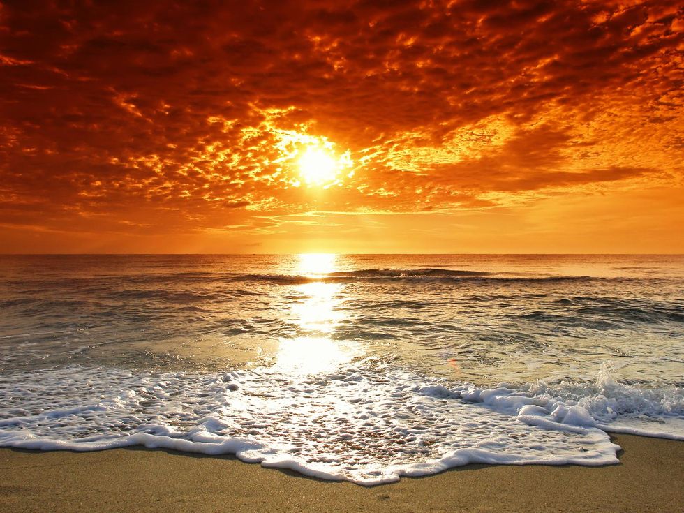 Don't Forget Your Roots