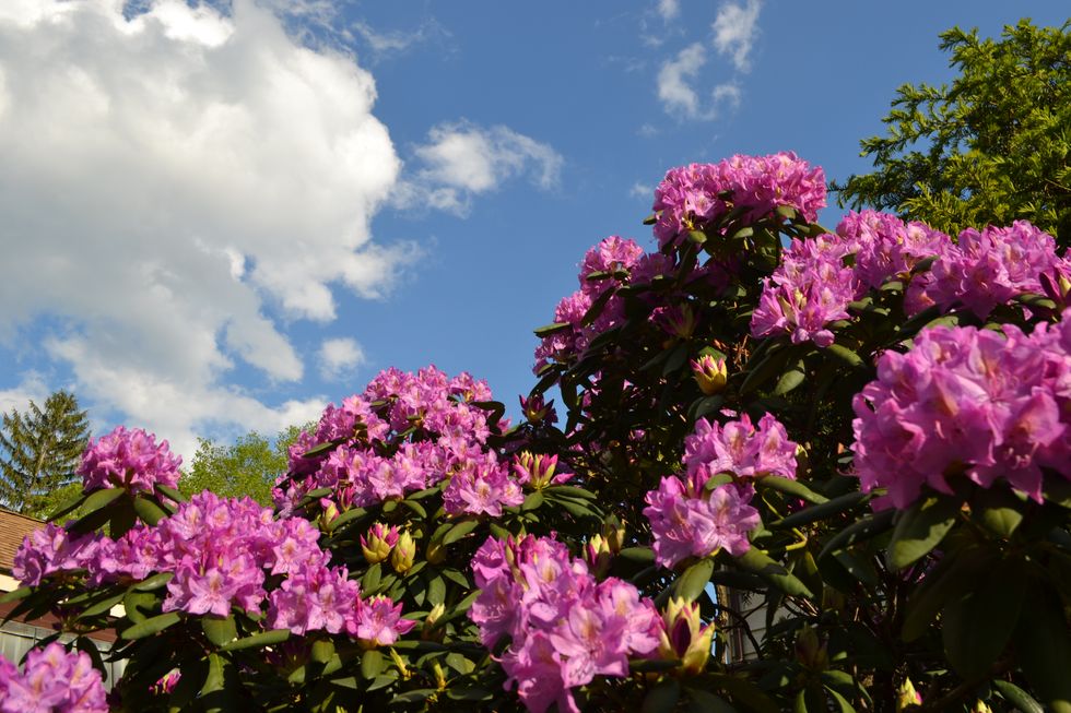 17 Summer Activities That Will Get You Off The Couch