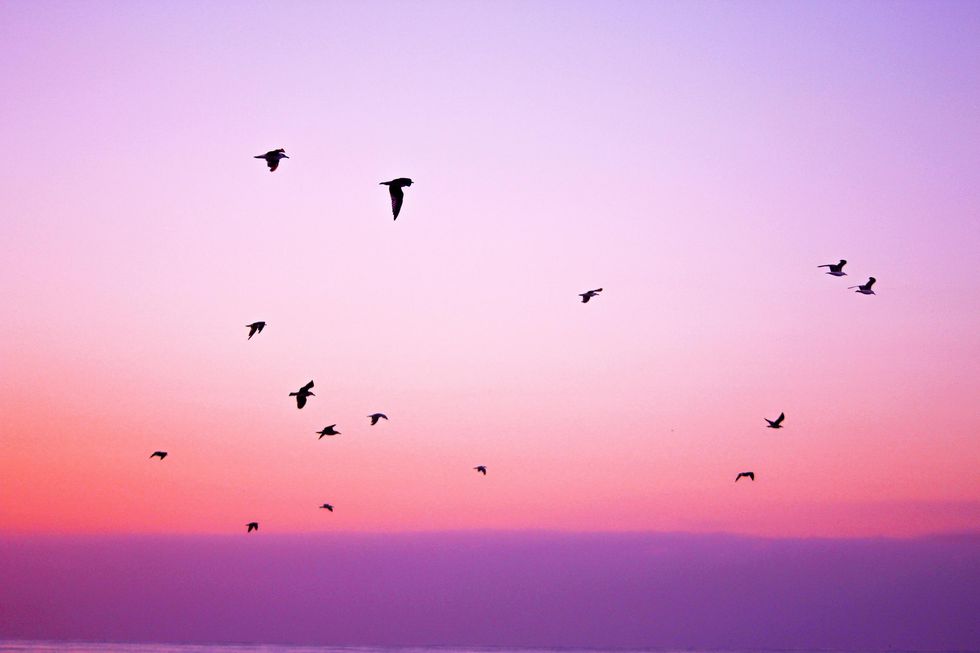 My Grand Rapids Summer To-Do List