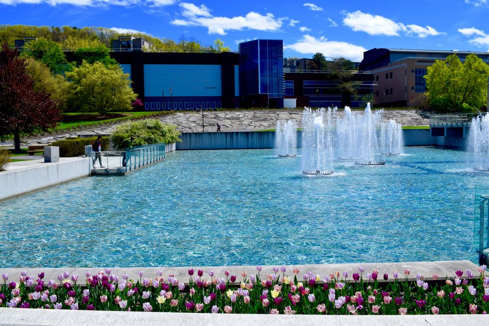 What Students Miss When Home From College