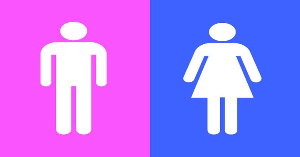 Understanding Gender