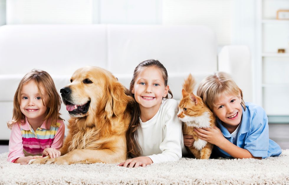 6 Reasons Why Pets Are Family