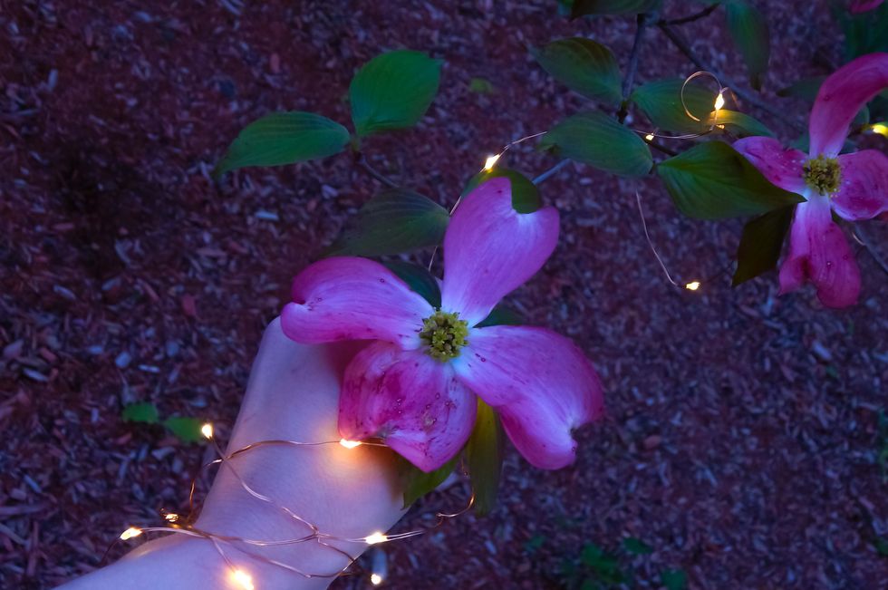 32 Things to do this Summer