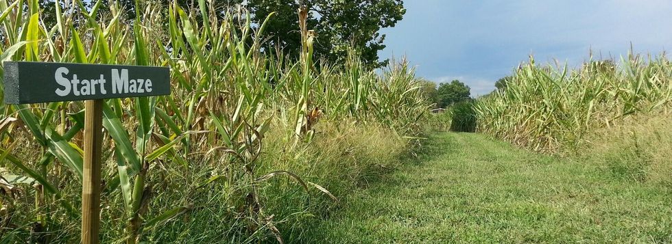 How Do I Know I'm Doing What God Wants?