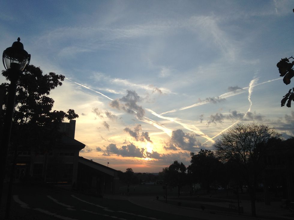 Meditations And Actions From A Girl Sitting In A Library