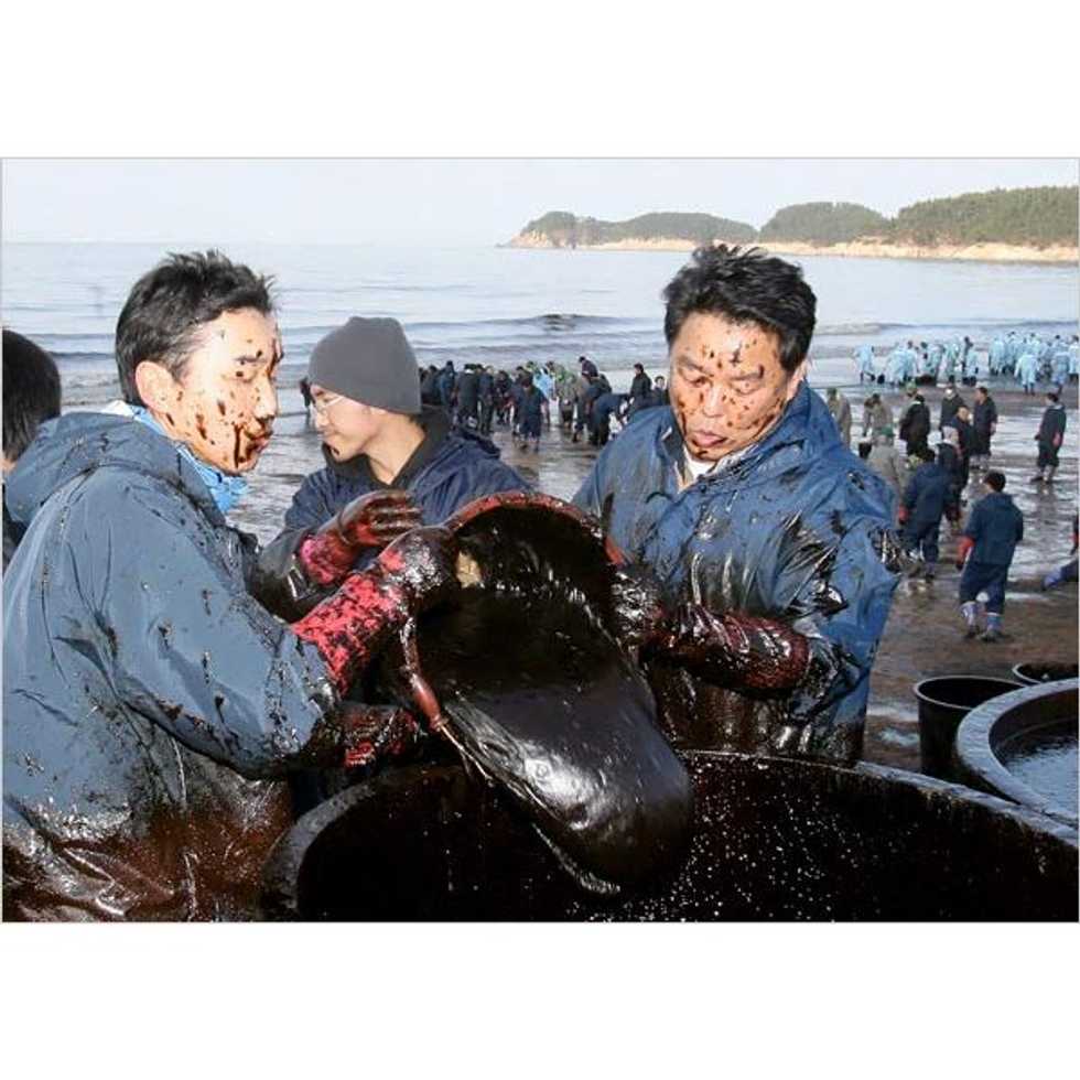 Pipelines and the Environment: A Battle for the Environment