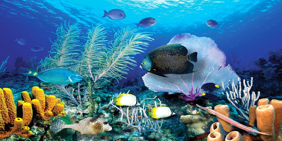 My Ocean - A Love Poem