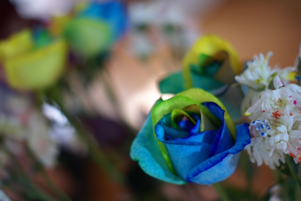 Planned Cyber Attack On LGBTQIA+ Support Groups