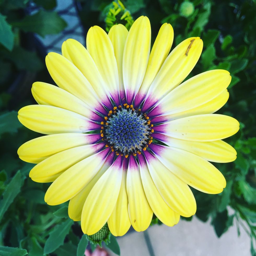 You're Never Going To Have Your Life Together.