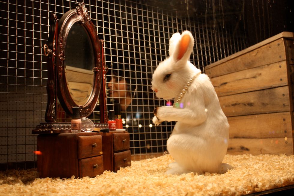 How To Stop Animal Testing By Using Cruelty-Free Makeup Brands