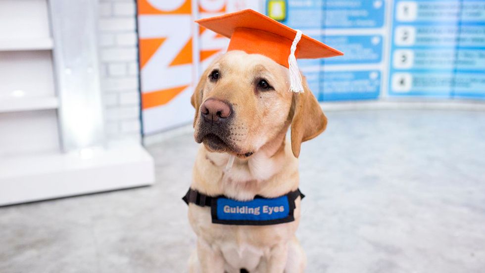 Not All Things Learned Are Taught