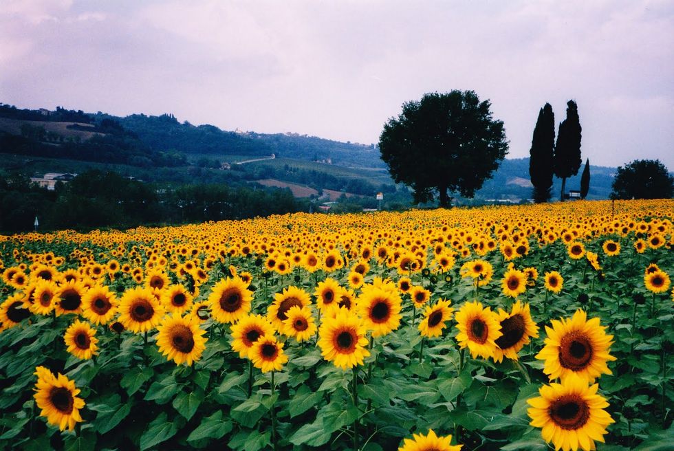 She Reminds Me A Lot Of The Color Yellow