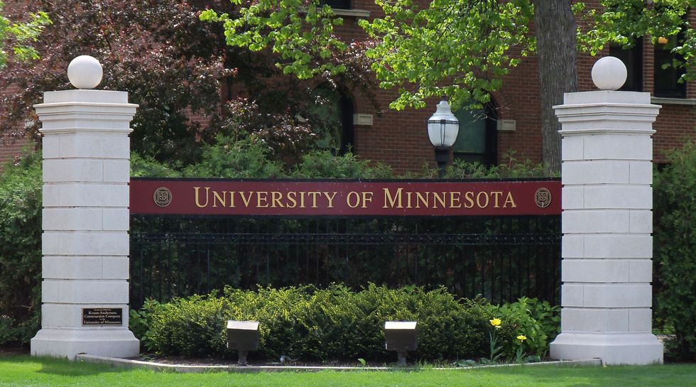 What I Expect From The University Of Minnesota