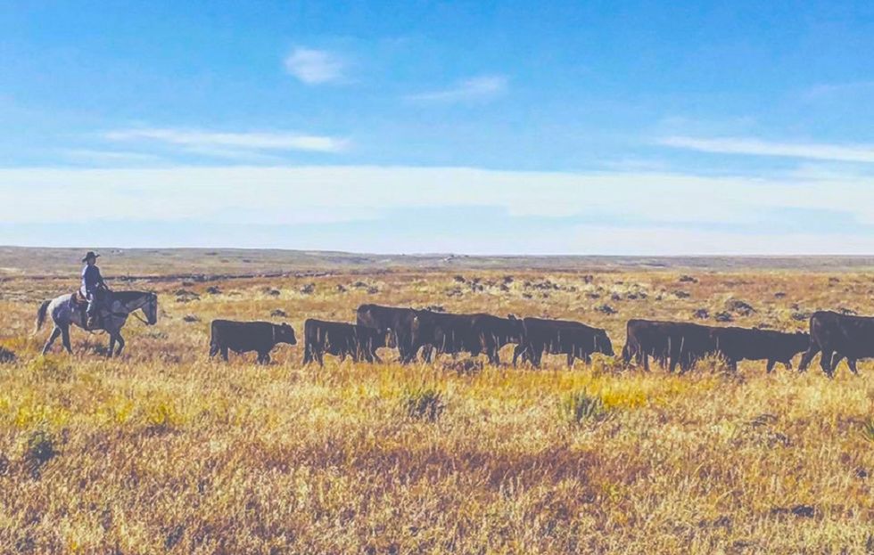 10 Bible Verses For Every Cowboy To Live By