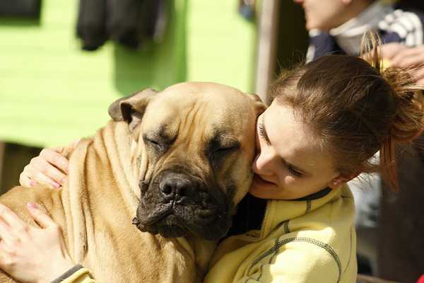 Millennials Are Choosing Fur Babies Over Human Babies