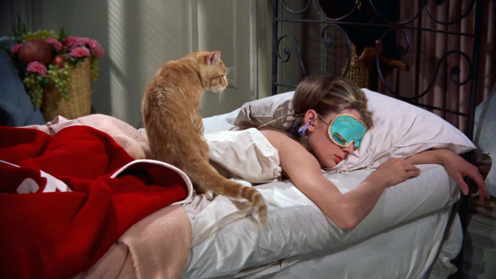 15 Things You've Said If You Hate Going Out