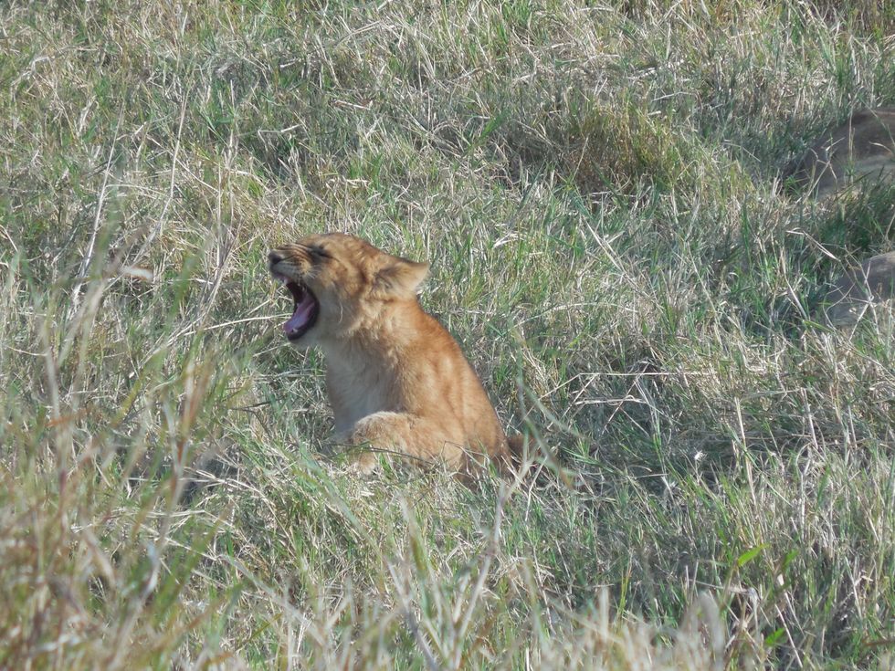 My Ultimate Summer Vacation To Africa