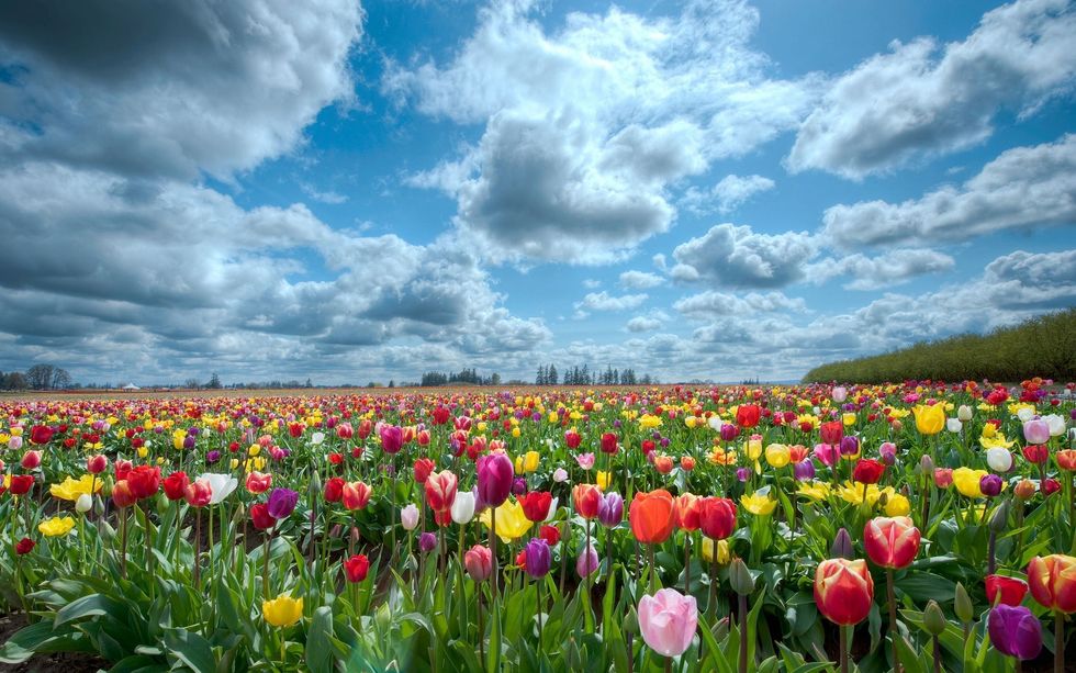 11 Things I Learned From My Mom.