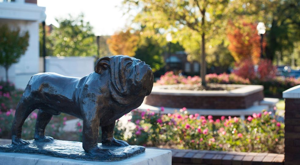 5 Things To Include When Starting Your Bulldog Bucket List