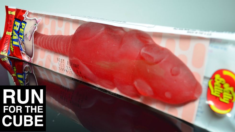 9 Funny Videos That You Should See