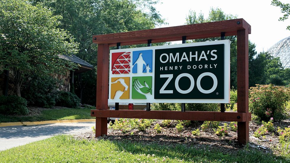 10 Things to do at the Henry Doorly Zoo