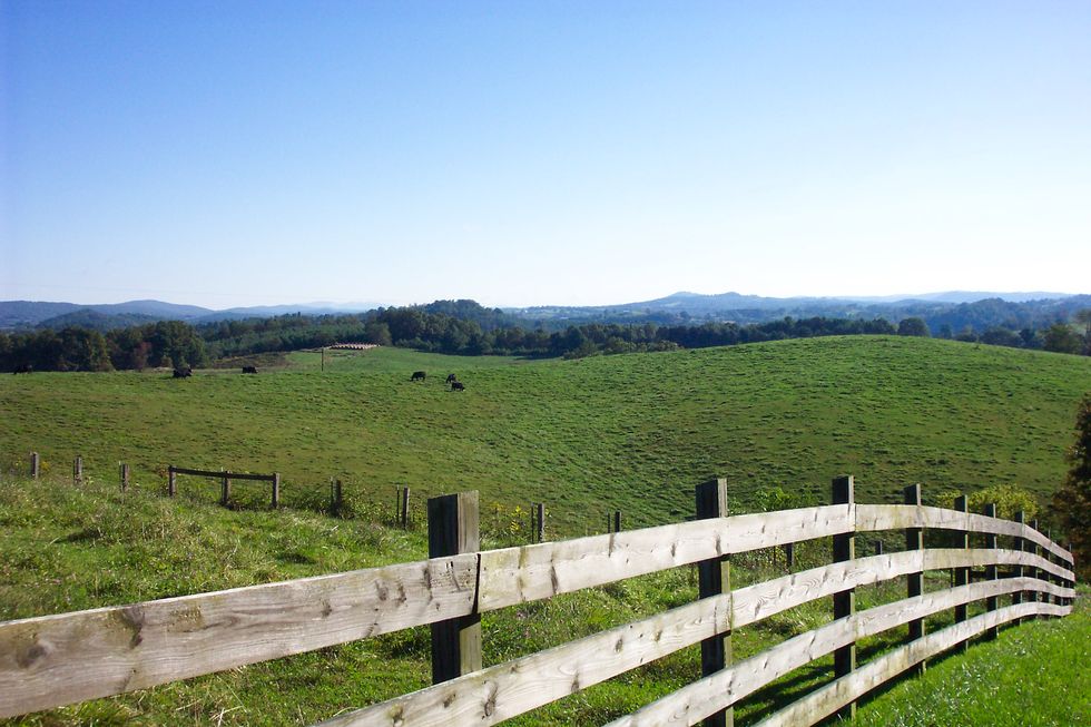 19 Things You've Probably Said If You're From Floyd County, VA