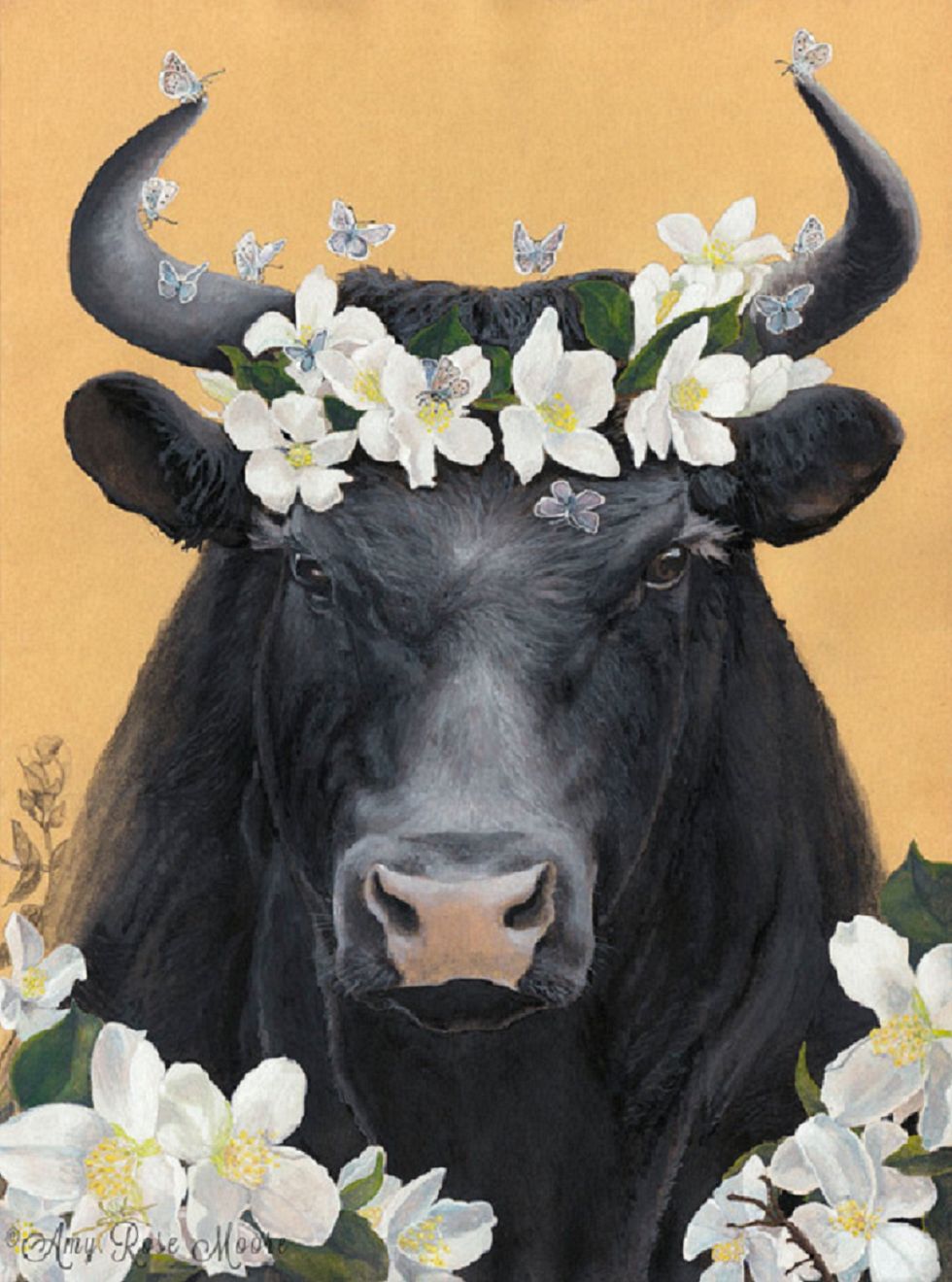 Why Bullfighting Is Wrong