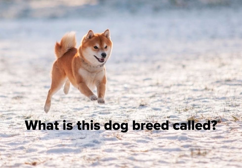 17 BuzzFeed Quizzes To Promote Your Procrastination From Finals