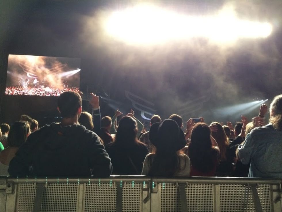 8 Things You're Guaranteed To Overhear At Summer Concerts
