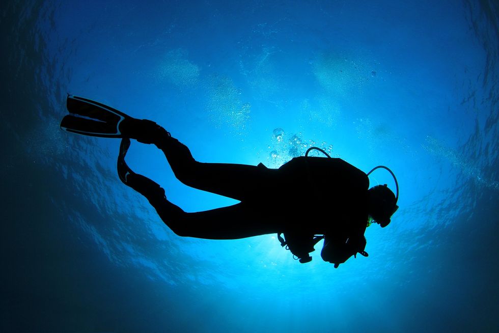 7 Reasons Why You Should Learn to Scuba Dive
