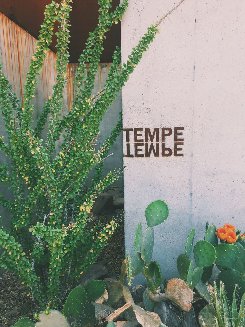 My 5 Favorite Spaces In Tempe, AZ