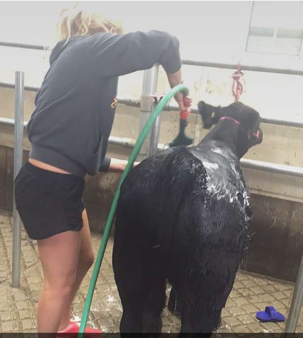 An Open Letter To Those Who Question Why I Chose Animal Science As My Major