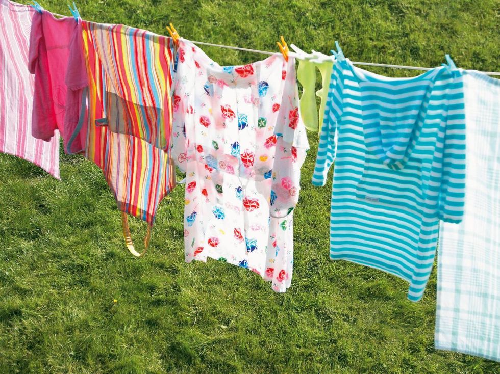 7 Types of People At Washington College's May Day