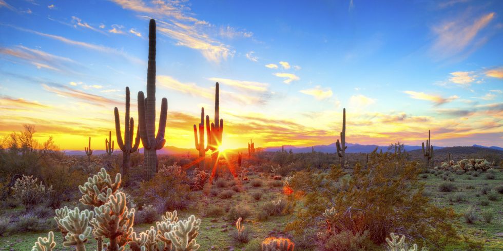 10 Reasons Why You Should Never Visit Arizona