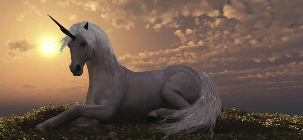 To the Unicorns of the World