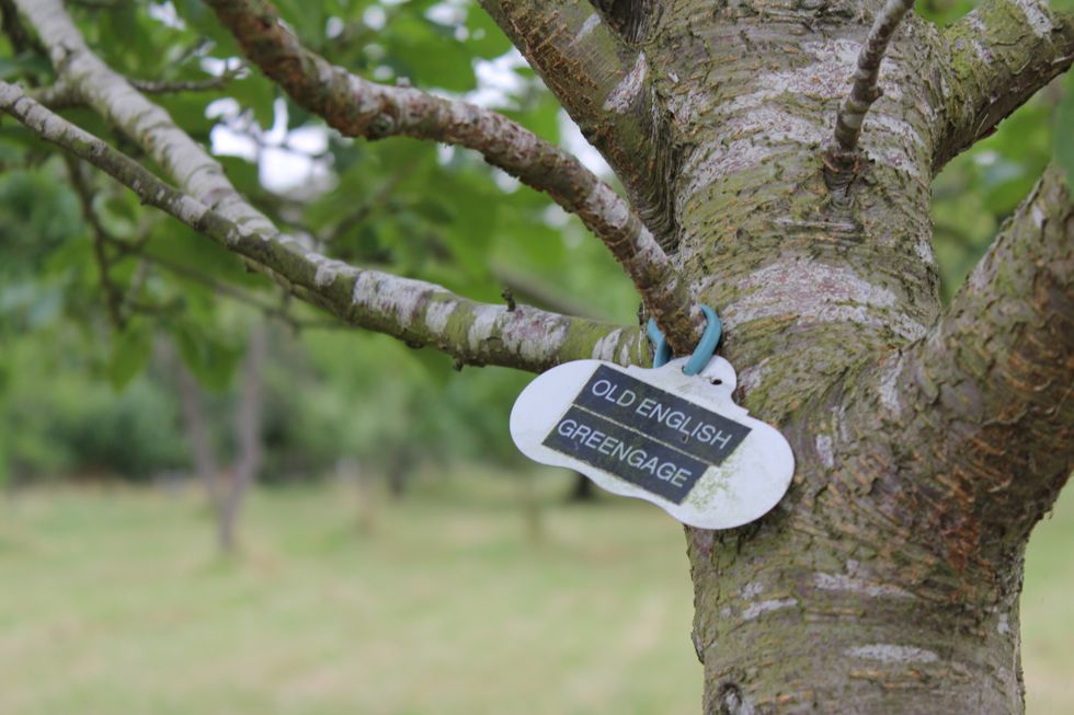 Thoughts On Sunshine, Spring, And Renewal