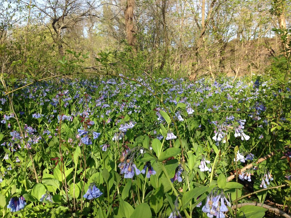 Don't Be So Quick To Judge