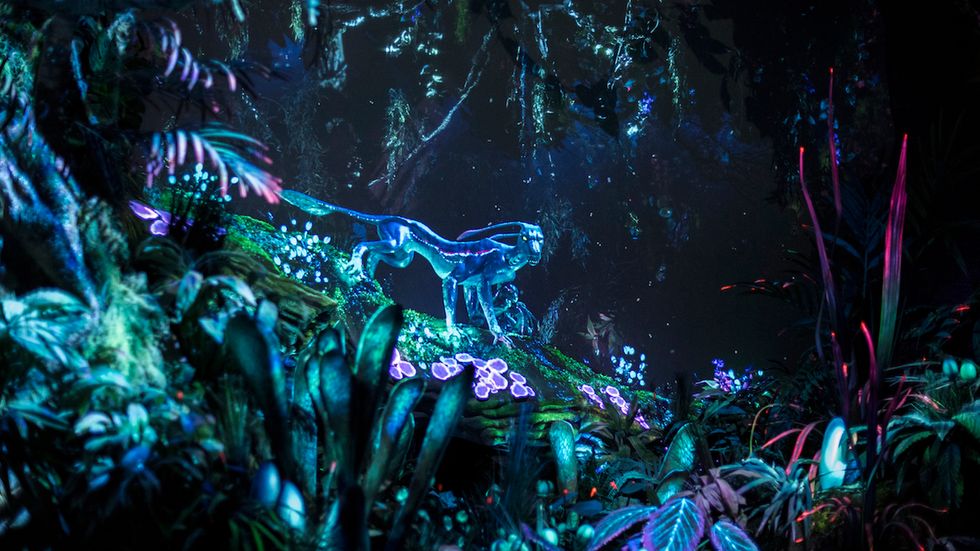 A Look At The World Of Avatar Opening At Disney's Animal Kingdom