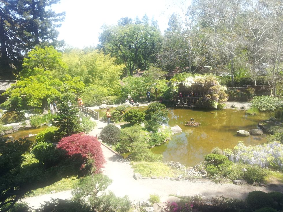 Hakone Gardens And Why I Love Spring