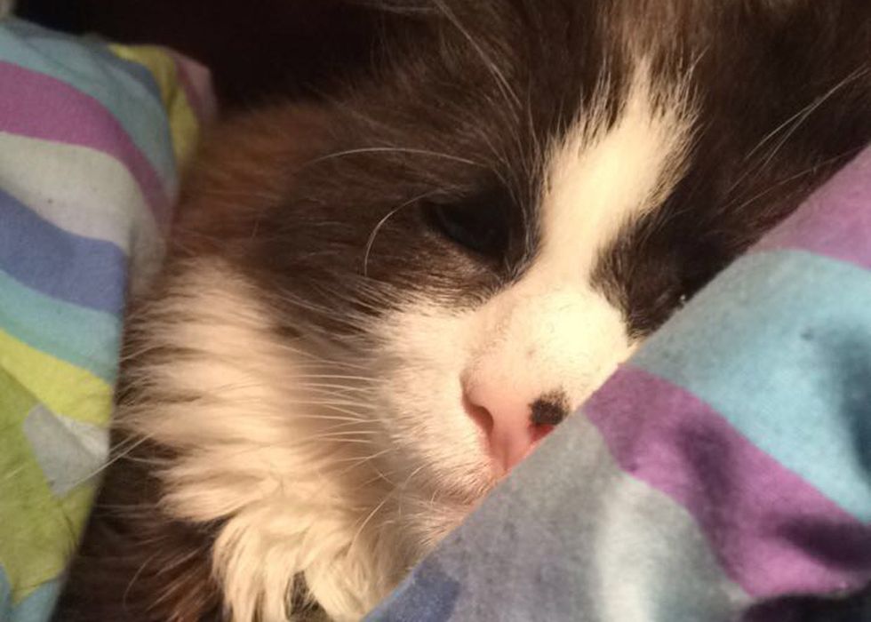 As It Turns Out, There ARE Benefits To Insomnia