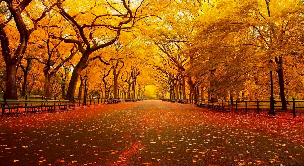 7 Fall Activities Everybody Should Try This Season