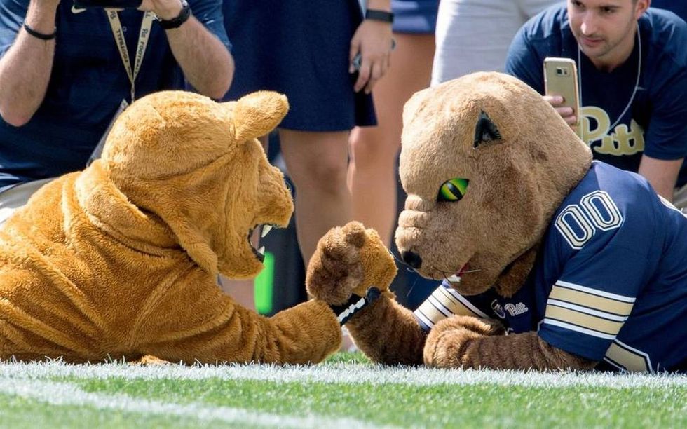 5 Signs You Grew Up In A Rival School's Household | The Odyssey Online