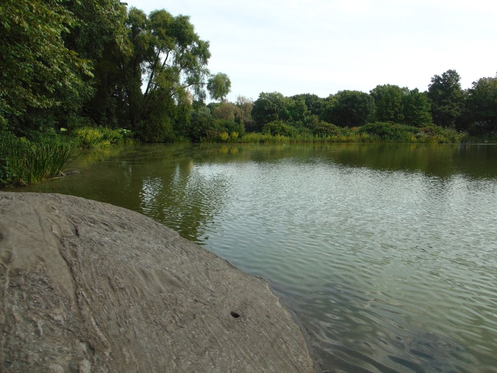 Sunday Afternoon In The Park: A Photo Essay