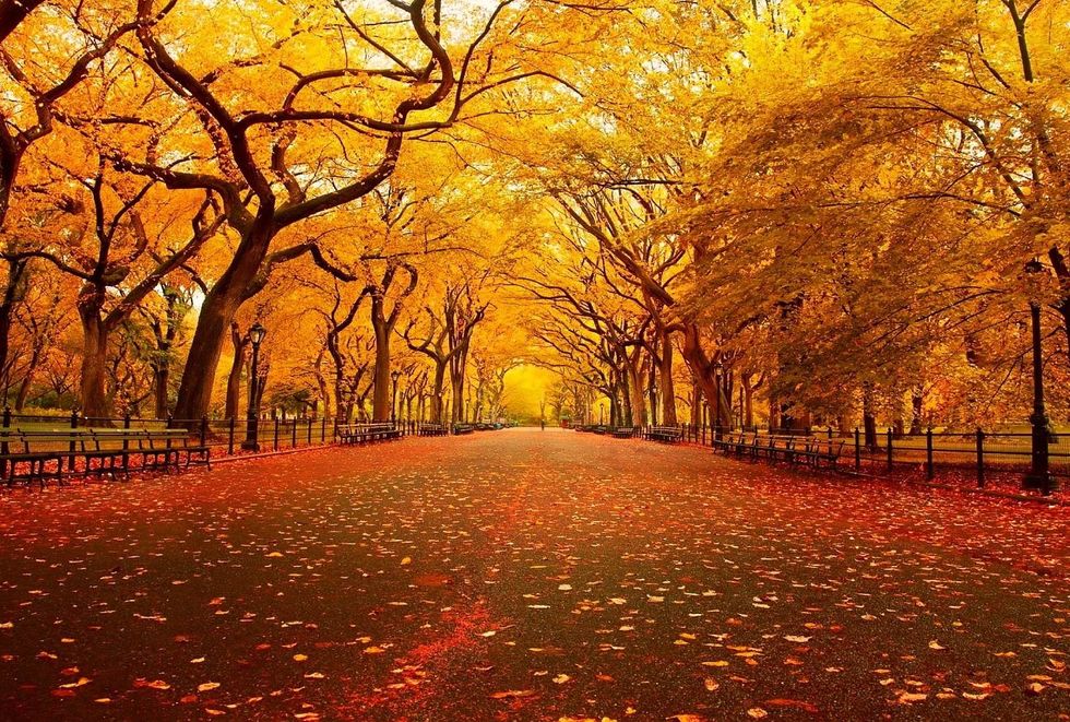 Five Reasons Why Fall Is The Best Season