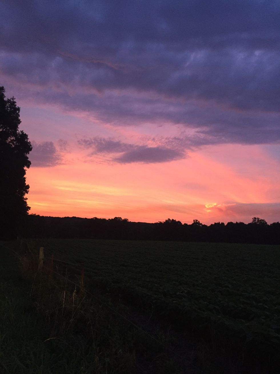 Sunsets Are Proof That There Is Light At The End Of The Tunnel